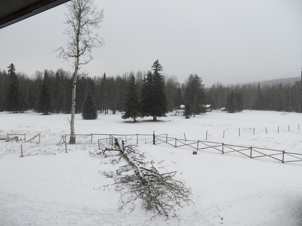 Black Cat Guest Ranch Brule Mines Εξωτερικό φωτογραφία